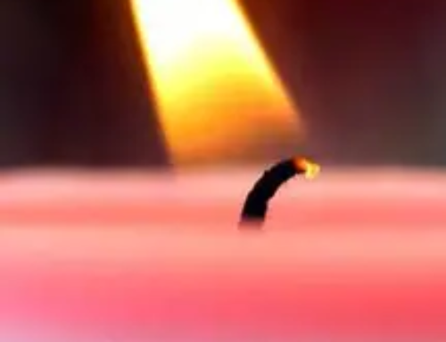 3e Dimanche de l&rsquo; Avent – GAUDETE